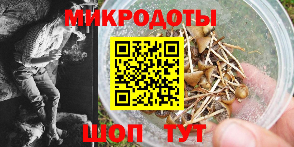 магазин  наркотиков  Вход с VPN  Касимов  Галлюциногенные грибы MAGIC MUSHROOMS  Псилоцибиновые грибы мухоморы 